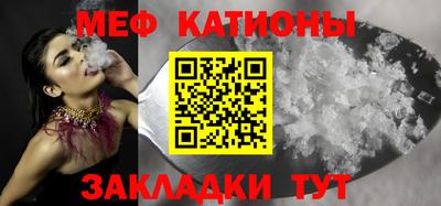 индика Гатчина