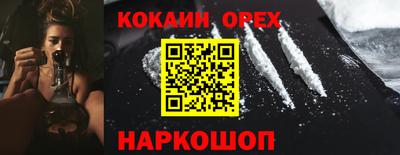 индика Гатчина