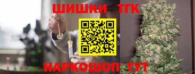 индика Гатчина