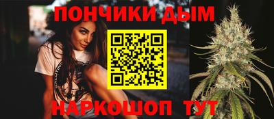 индика Гатчина