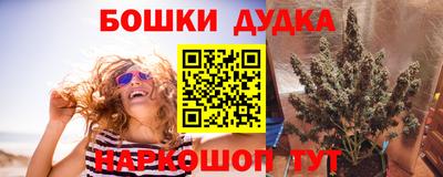 индика Гатчина