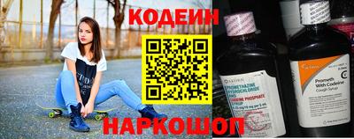 индика Гатчина