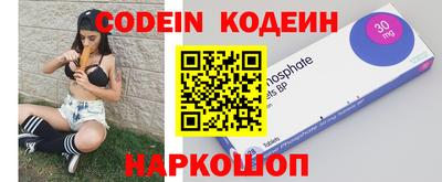 индика Гатчина