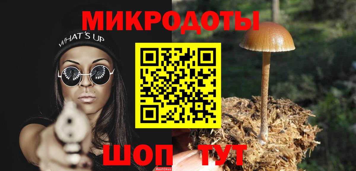 Псилоцибиновые грибы Psilocybe Десногорск